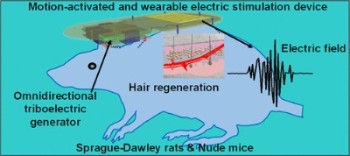 Electricity Stimulation for Hair Growth