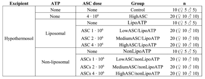 Ideeea Therapeutics AGAcell MSCs and ATP